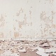 shape-img